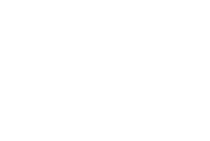 cssi